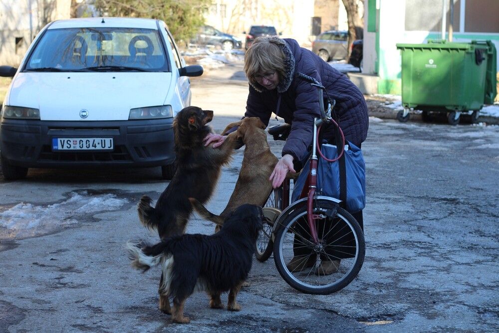 Photograph by Любовь Войводич