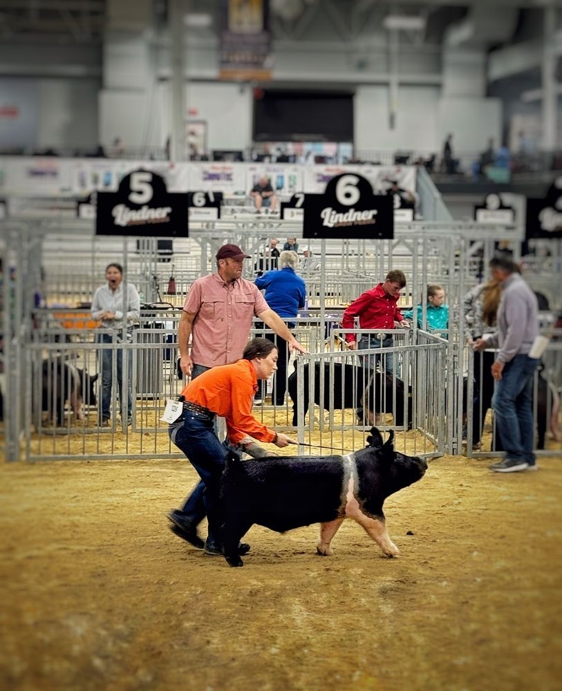 Photograph by Юлия Порфирьева