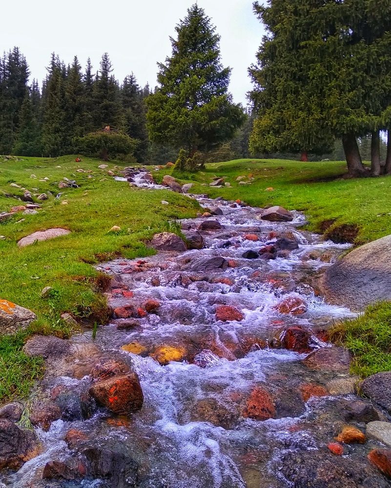 Photograph by Орынбек Асилбаев