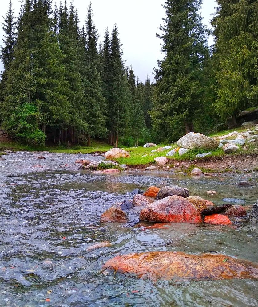 Photograph by Орынбек Асилбаев