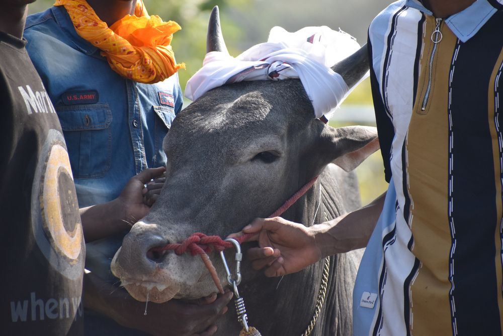 Фотография автора Gopinath Murugesan