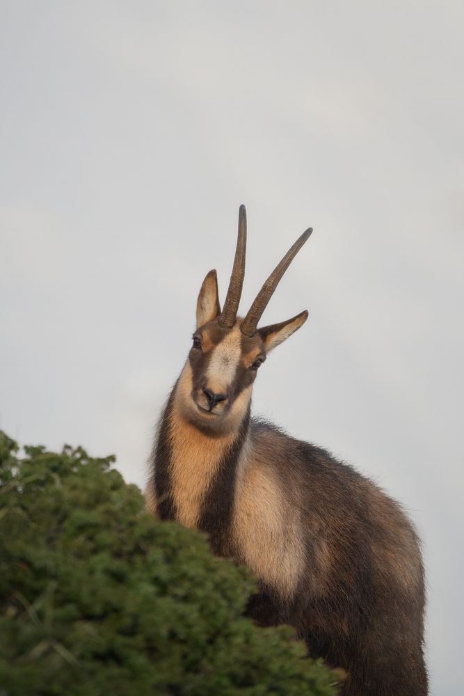 Photograph by Domenico Marrano