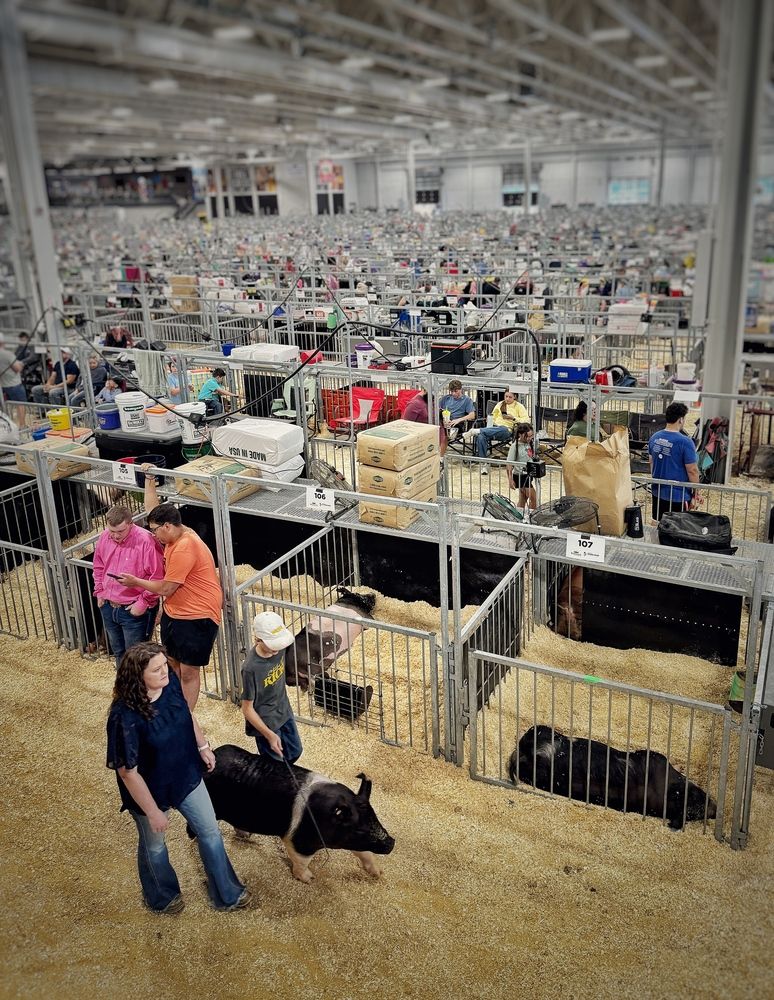 Photograph by Юлия Порфирьева