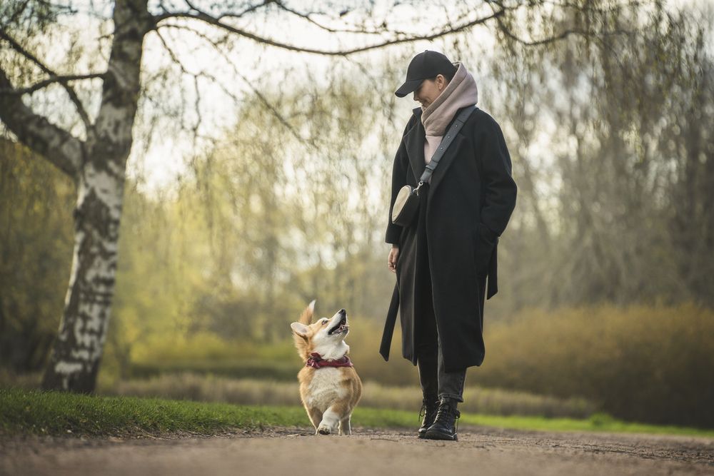 Фотография автора Александра Пугачёва