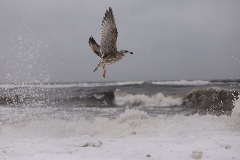 Photograph by Олеся Смирнова