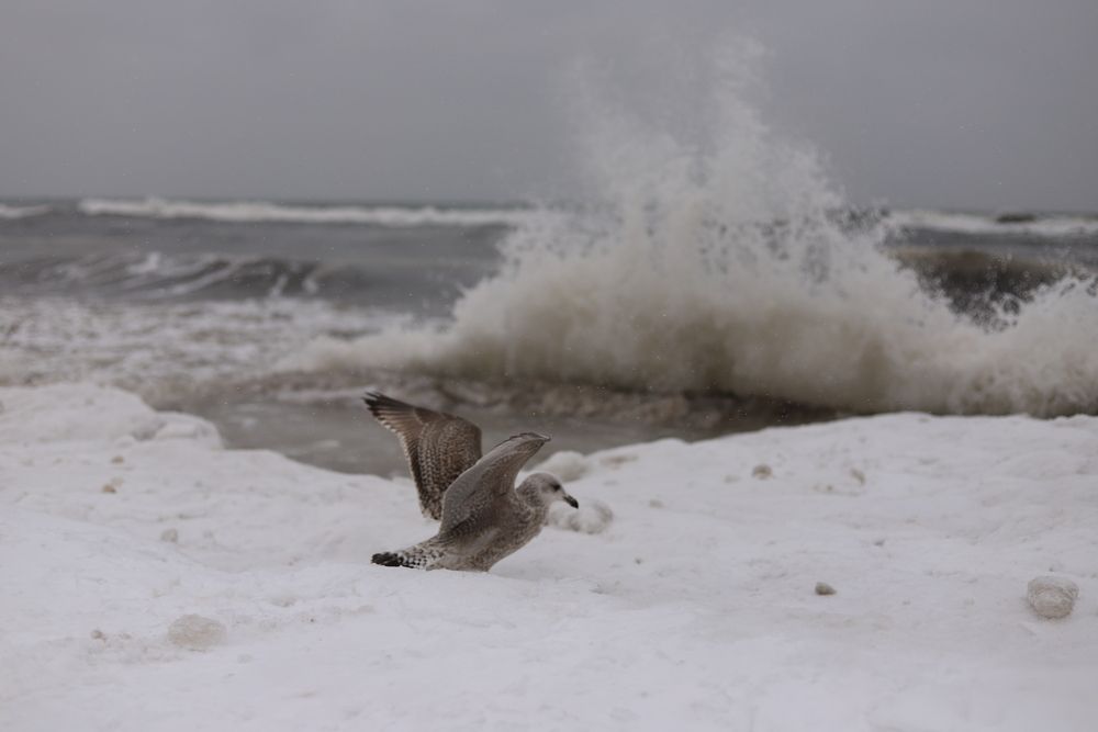 Photograph by Олеся Смирнова