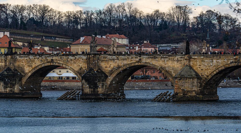 Photograph by Igor Shulkin