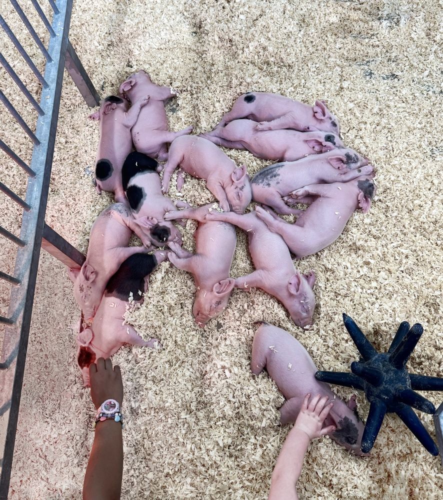 Photograph by Юлия Порфирьева