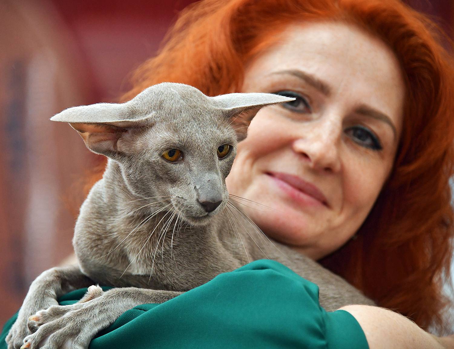 Гармоничная пара