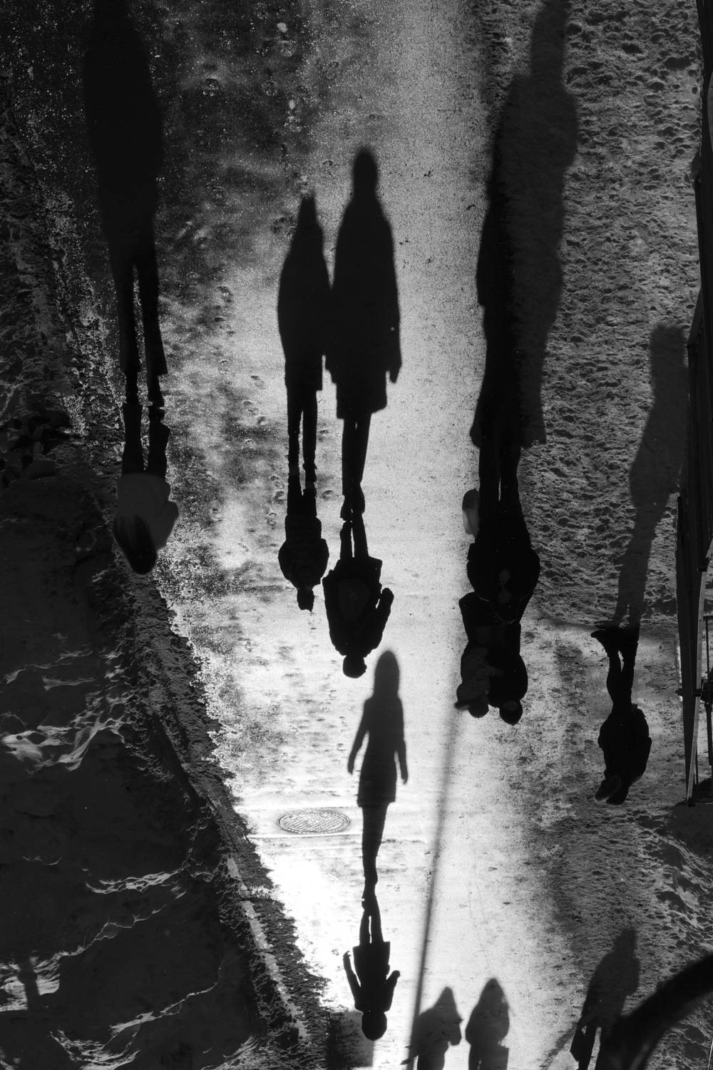 Фотография #13307532