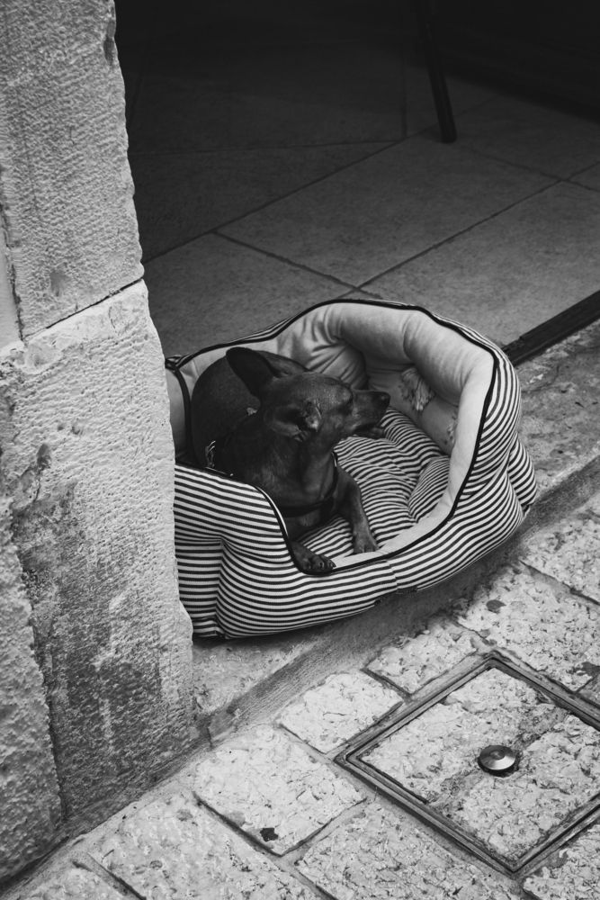 Photograph by Андрей Безгин
