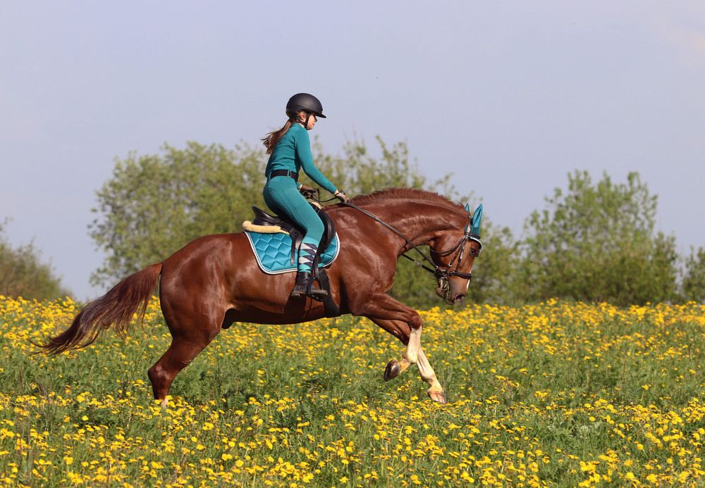 Photograph by Галина Волкова