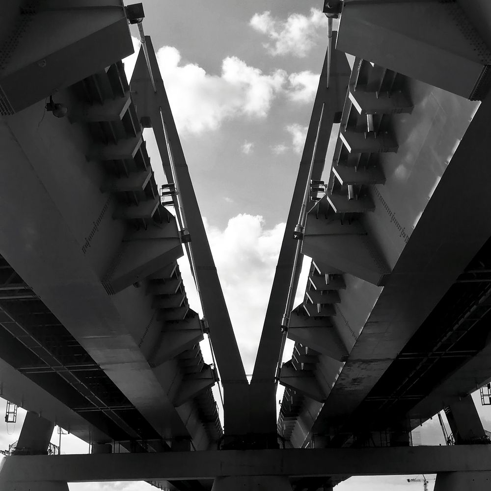 Photo #13307645