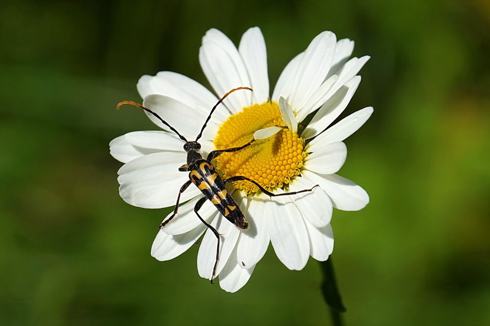 Photograph by Галина Кан