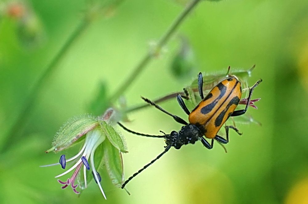 Photograph by Галина Кан