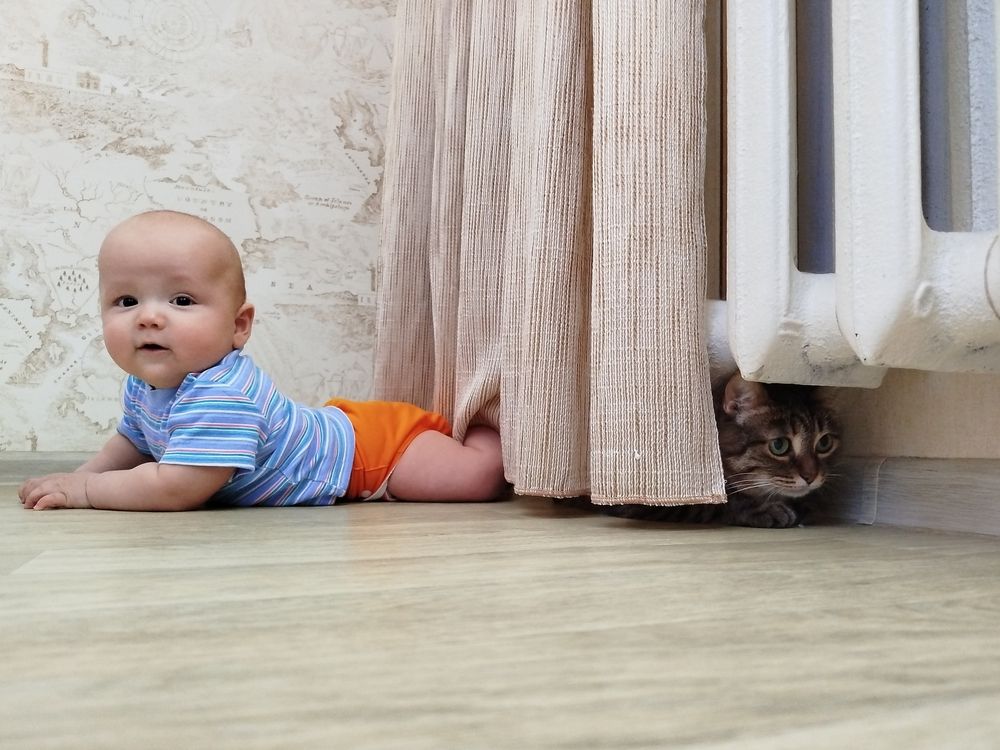 Фотография автора Марина Ершова