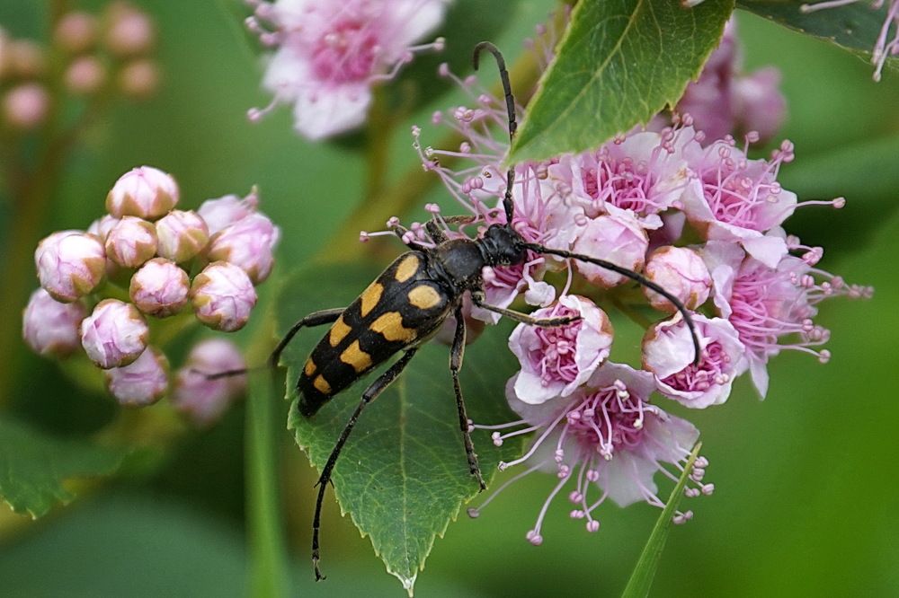 Photograph by Галина Кан