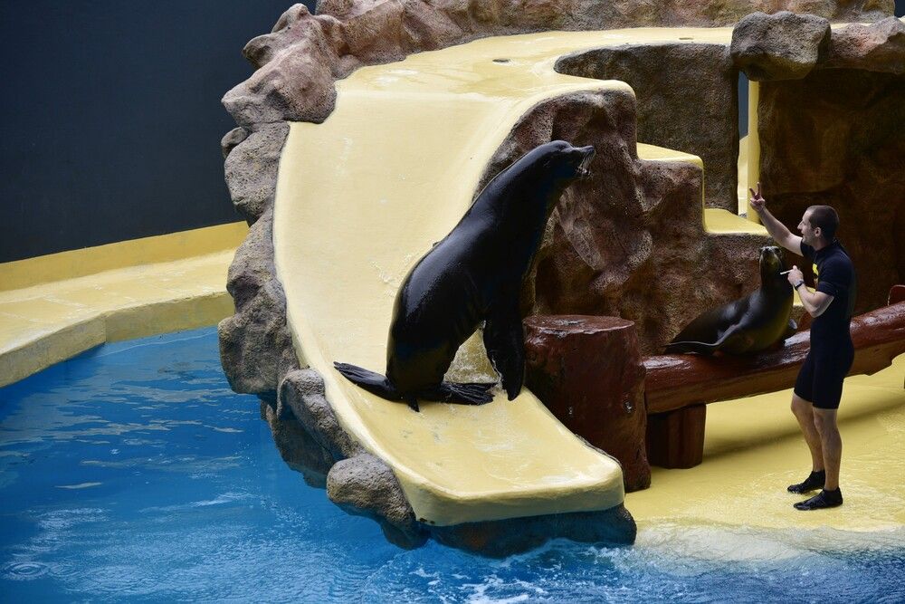 Photograph by Корнейчук Игорь