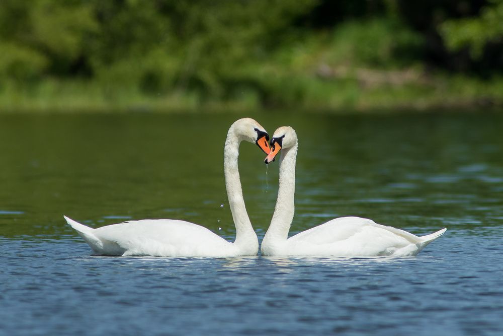 Фотография автора Суслов Дмитрий