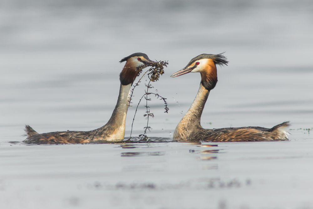 Photograph by Суслов Дмитрий