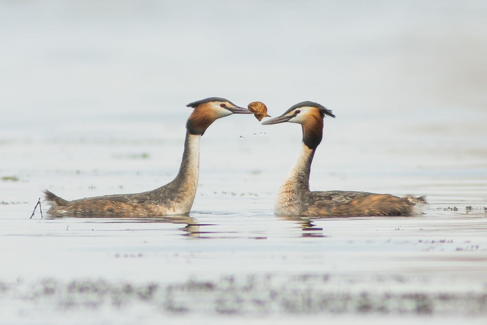 Фотография автора Суслов Дмитрий