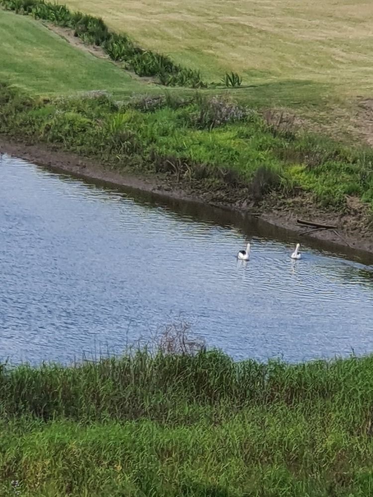 Photograph by Priscilla Niranjan