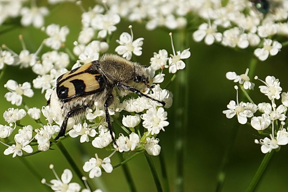 Photograph by Галина Кан