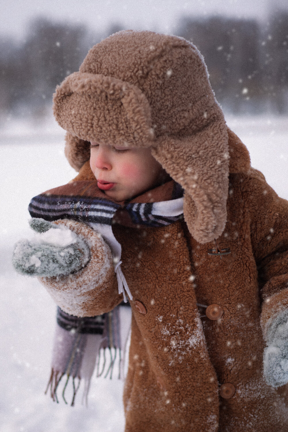 Photo #13307770
