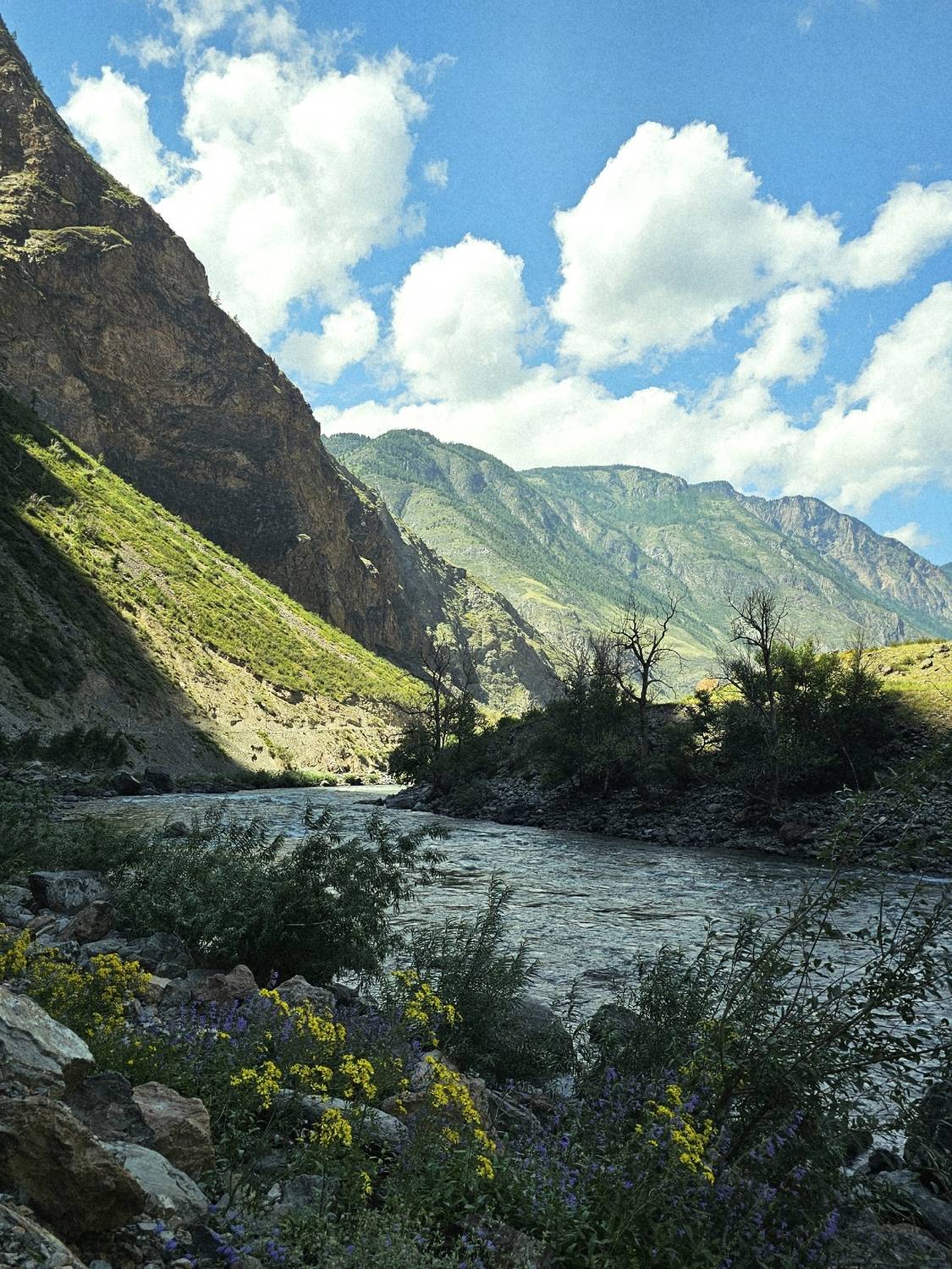 Фотография #13307797