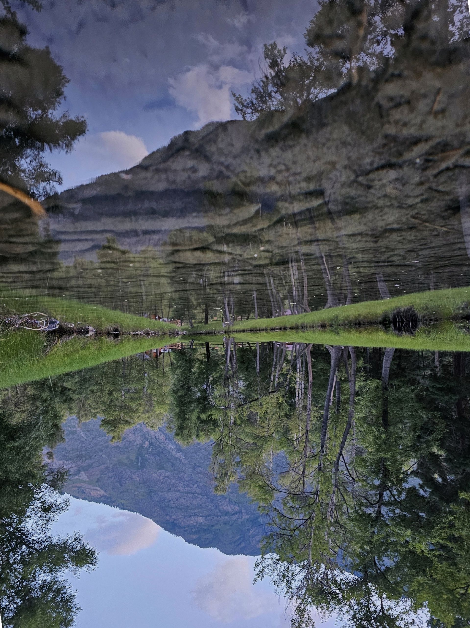 Фотография автора Александра Токарева