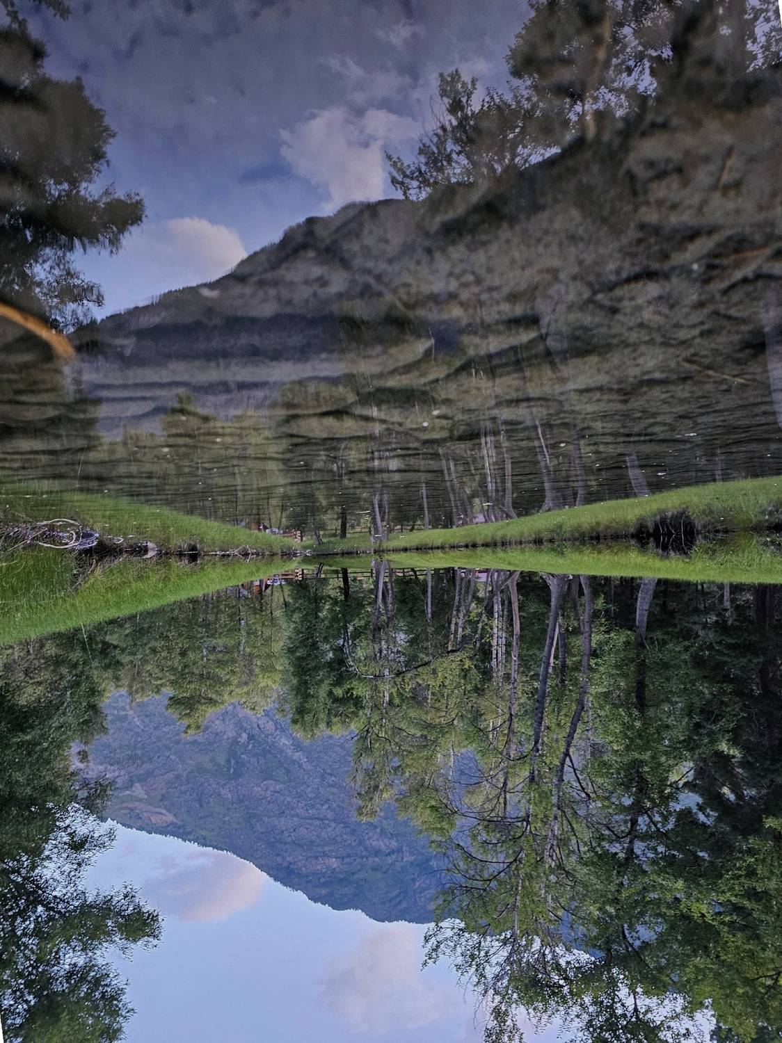 Фотография #13307802