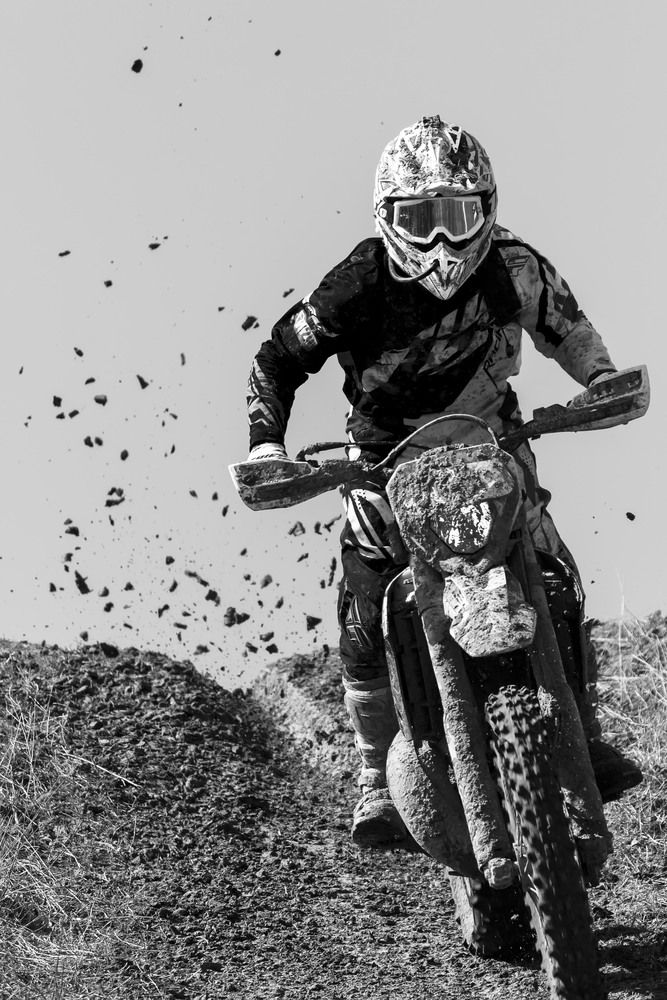 Photo #13307806
