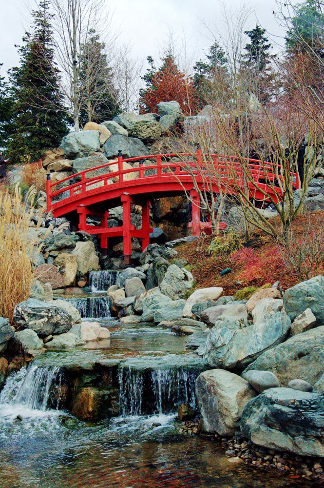 Photograph by Мария Якубовская