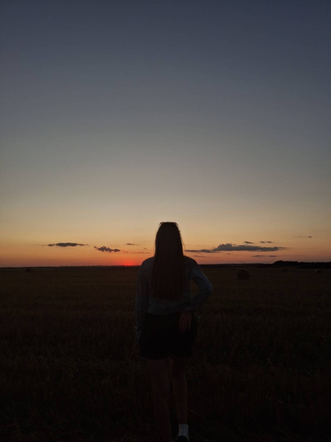 Photo #13307813