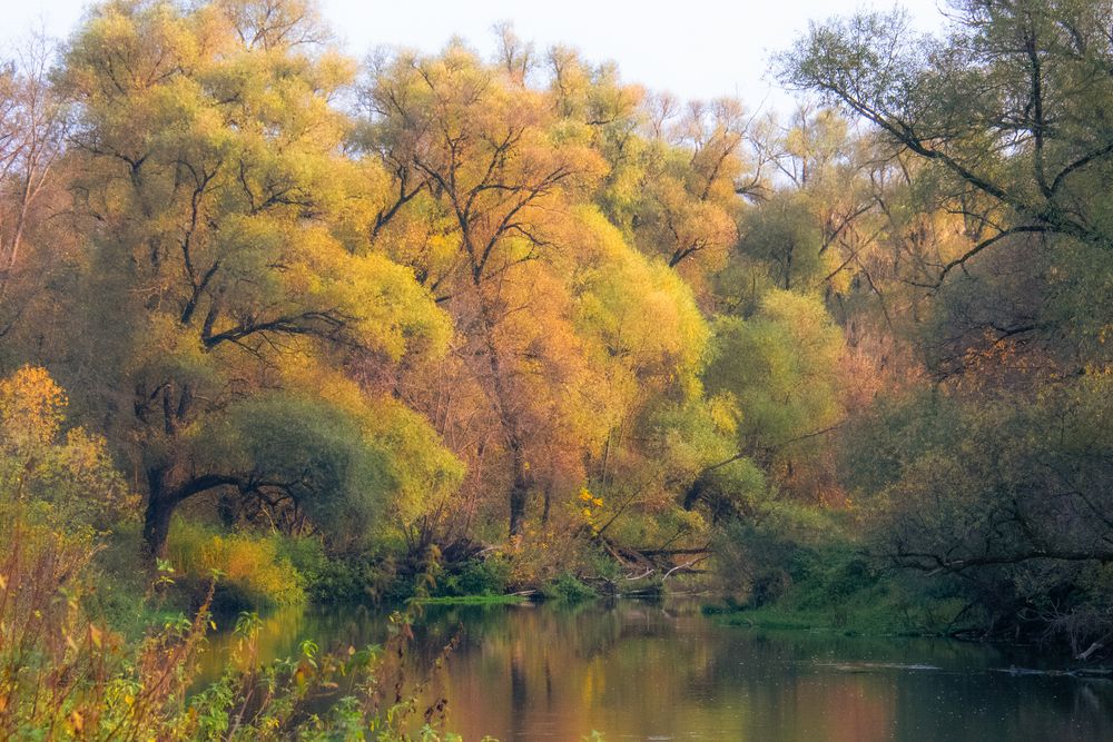 Photograph by Мария