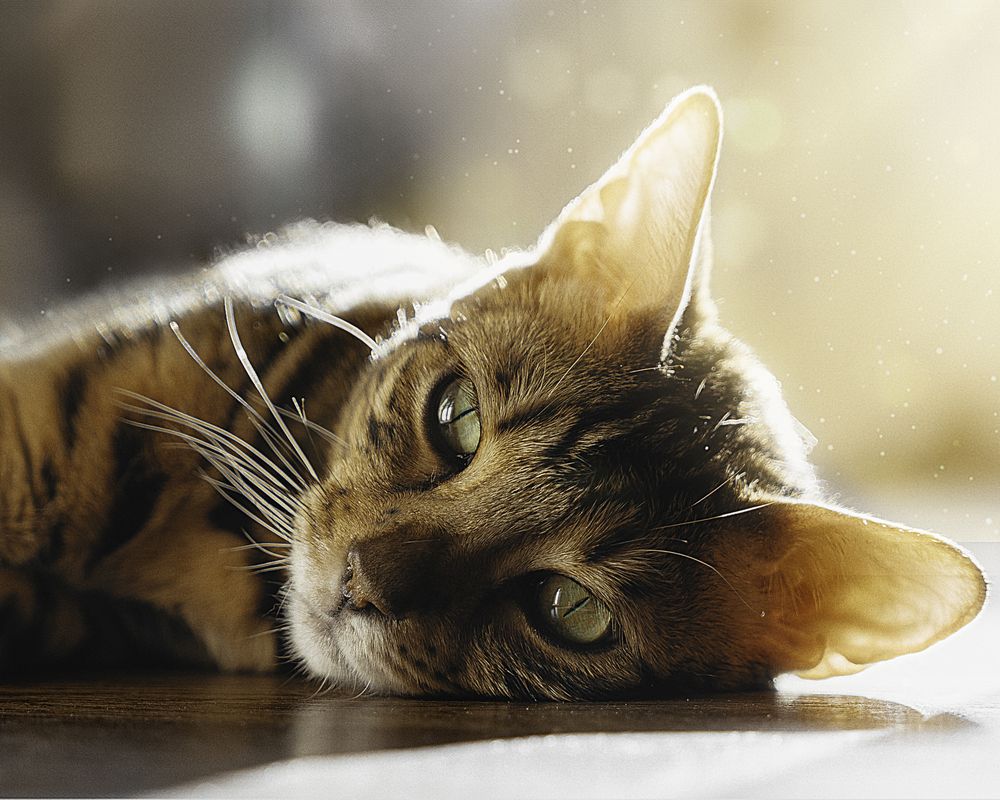 Photograph by Jurijs Rudzeiss