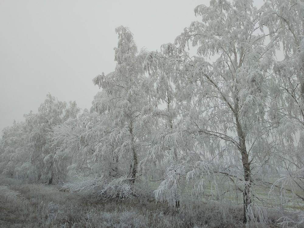 Photo #13307960