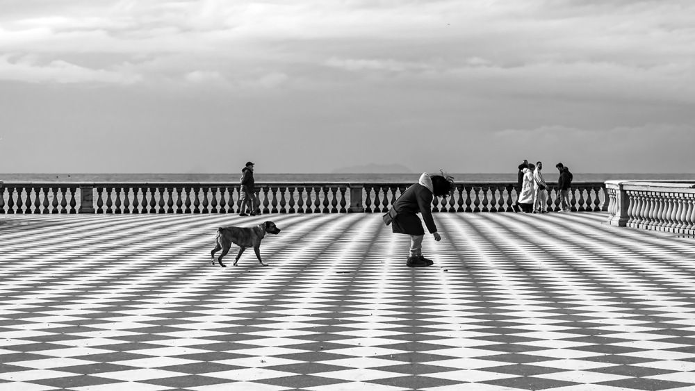 la magia della terrazza Mascagni