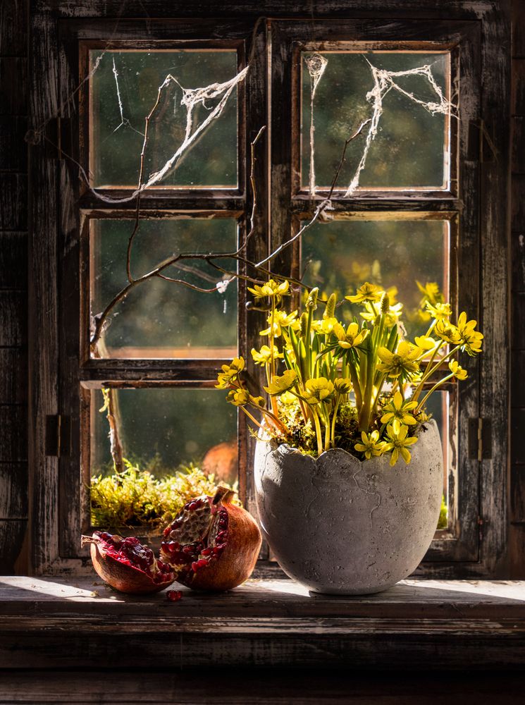 Photograph by Olga Schmidt
