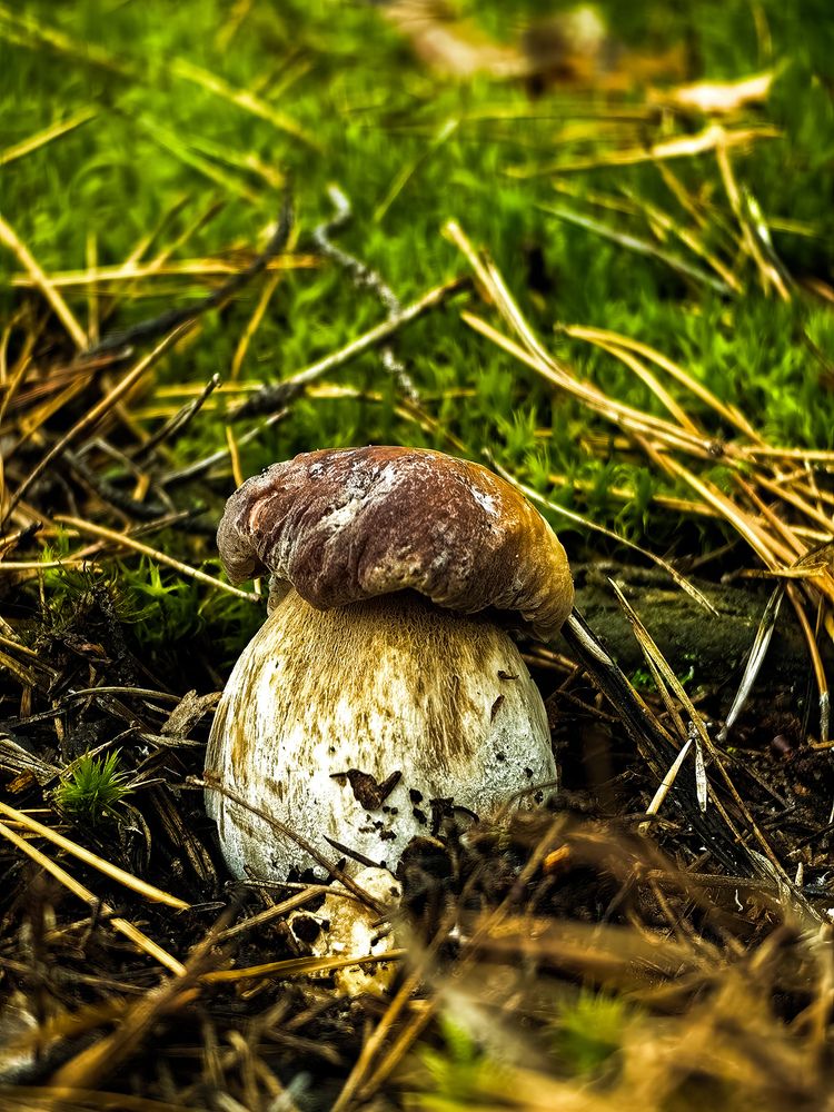 Photograph by Роман Беленов
