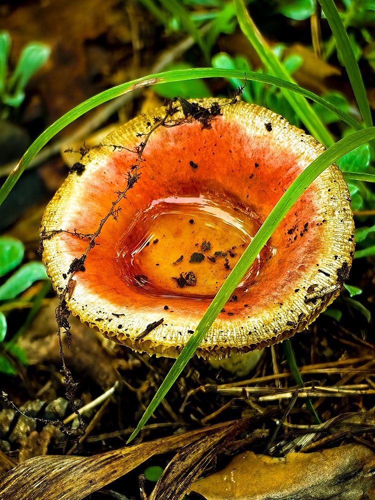 Photograph by Роман Беленов