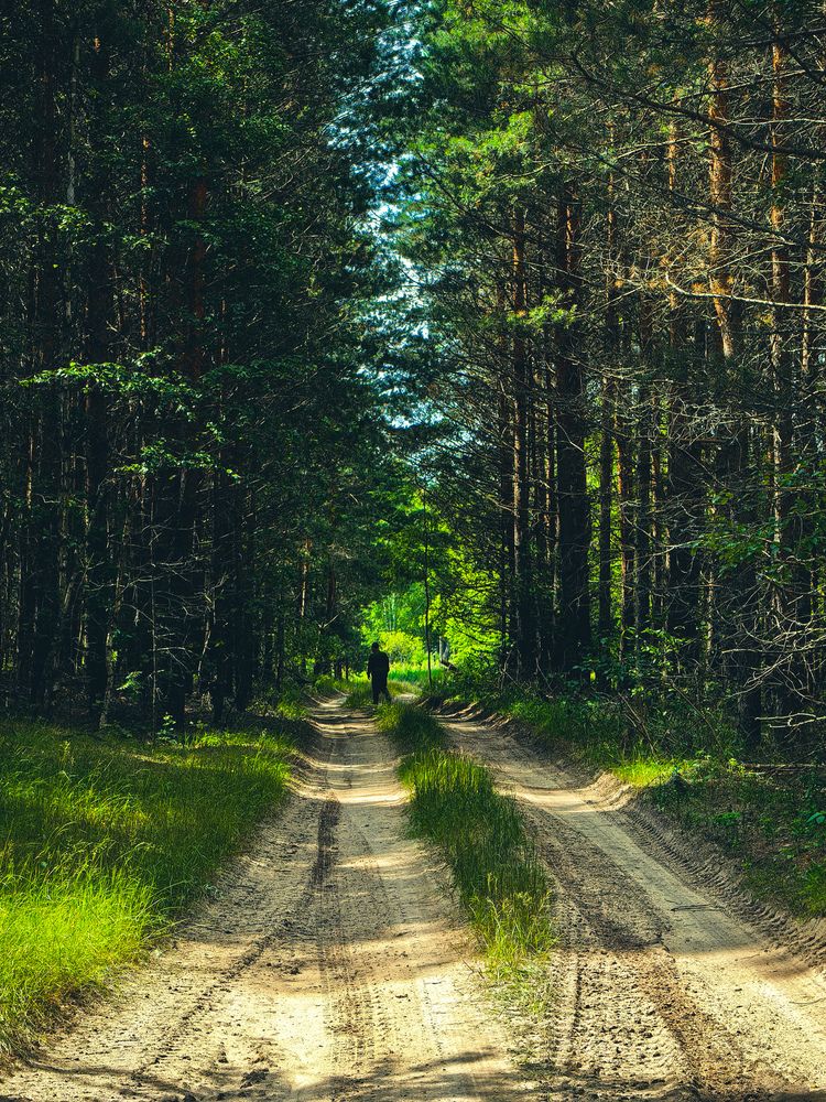 Photograph by Роман Беленов