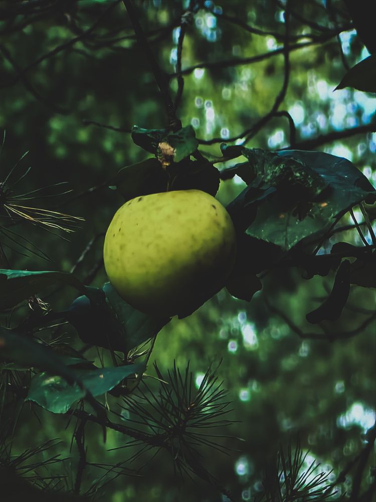 Photograph by Роман Беленов