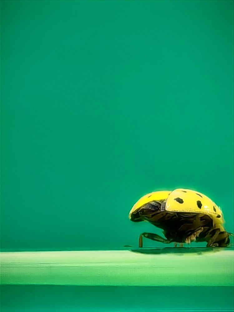 Photograph by Роман Беленов