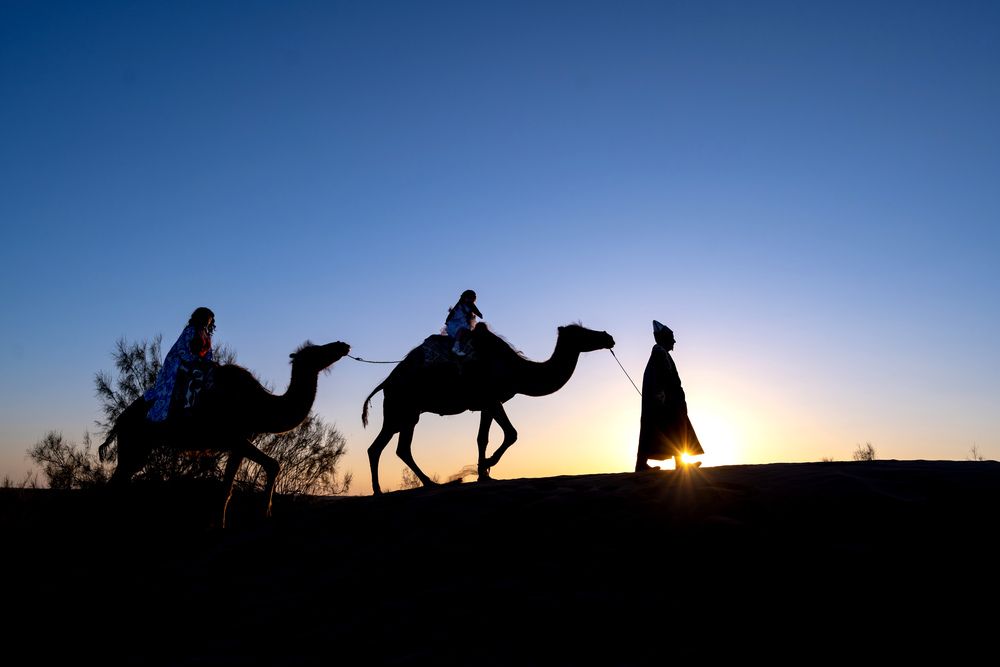 Фотография автора Ахмат Байсиев
