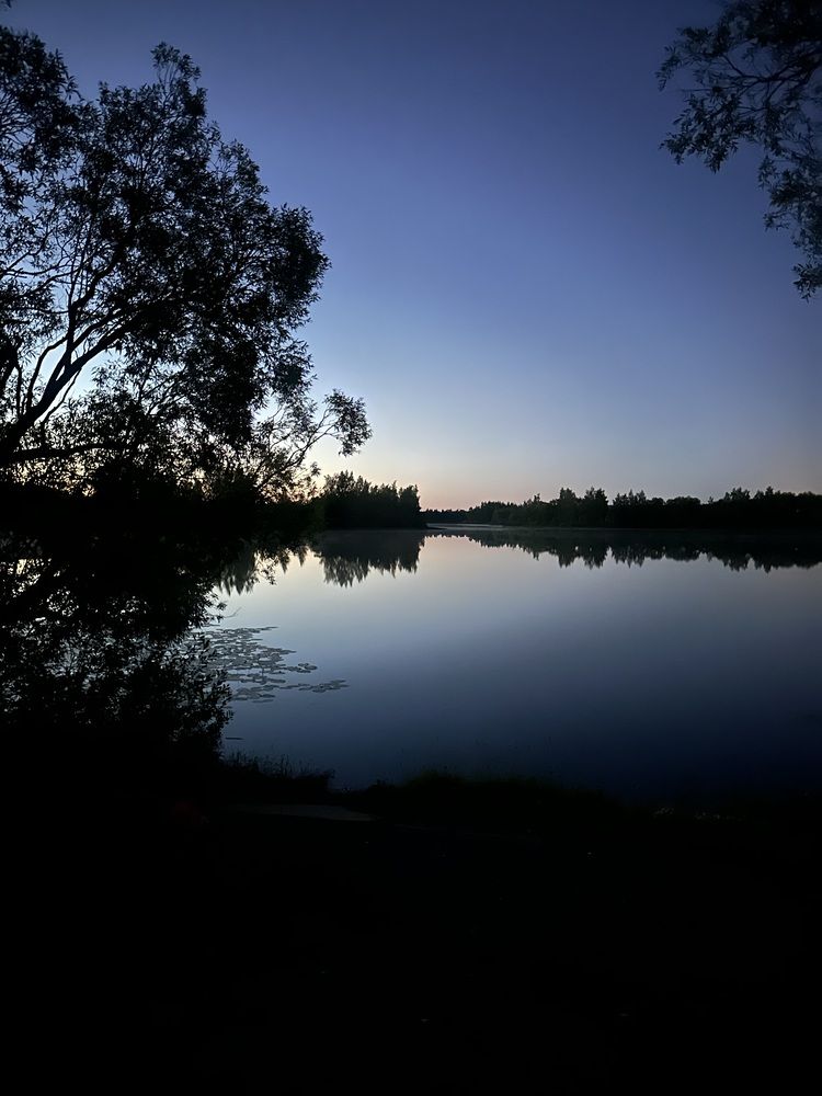 Photograph by Диана Бадеева