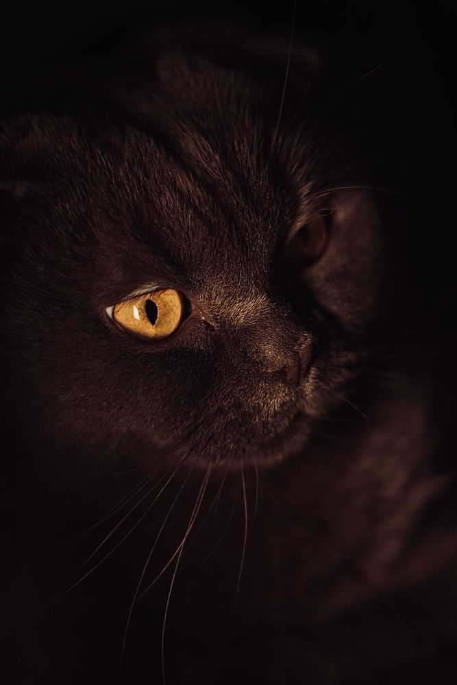 Photograph by Диана Бадеева