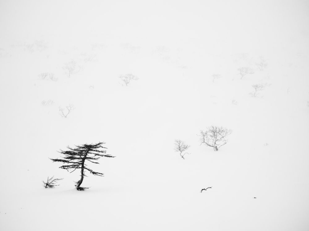 Фотография автора Ivan Godovikov