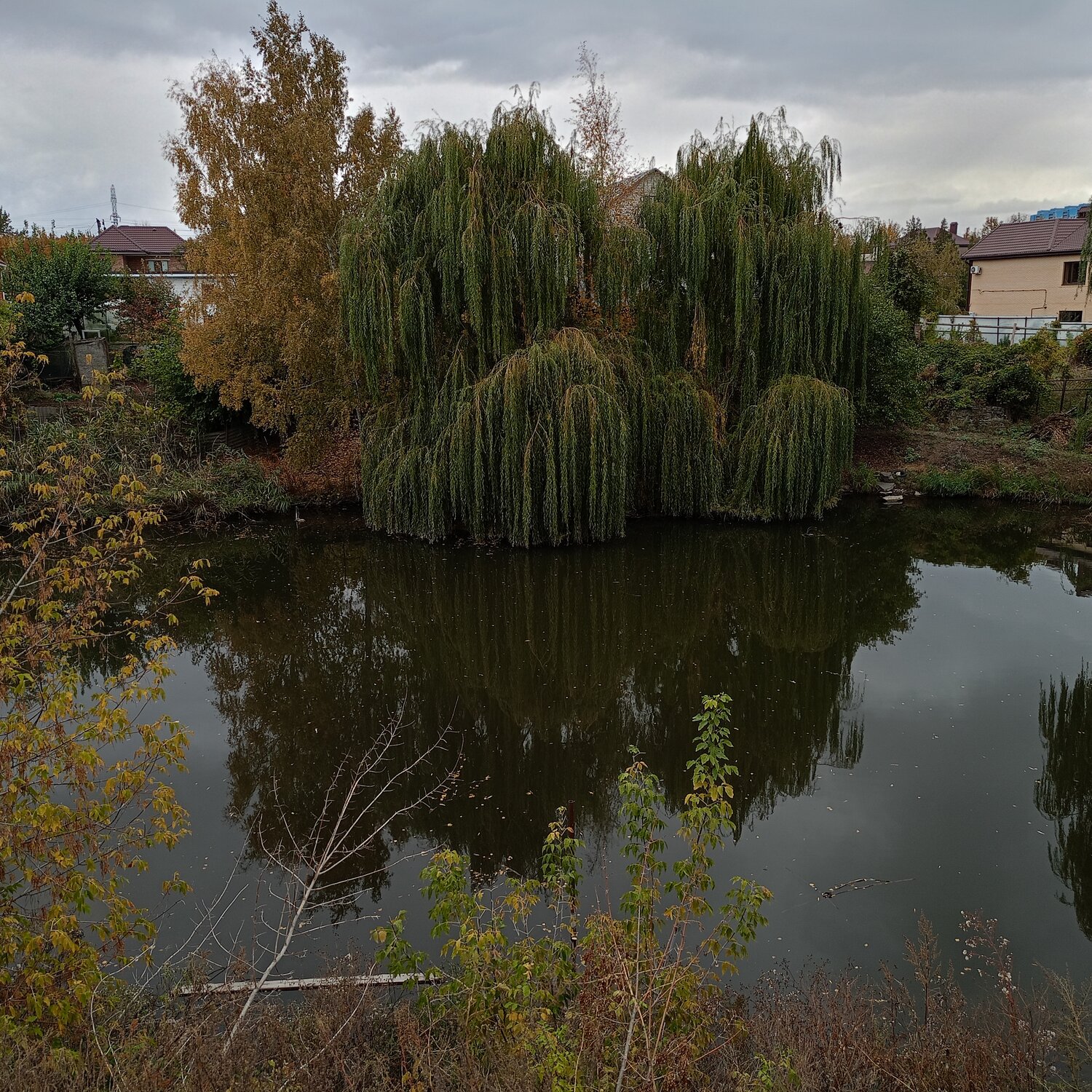 Photo #13308332