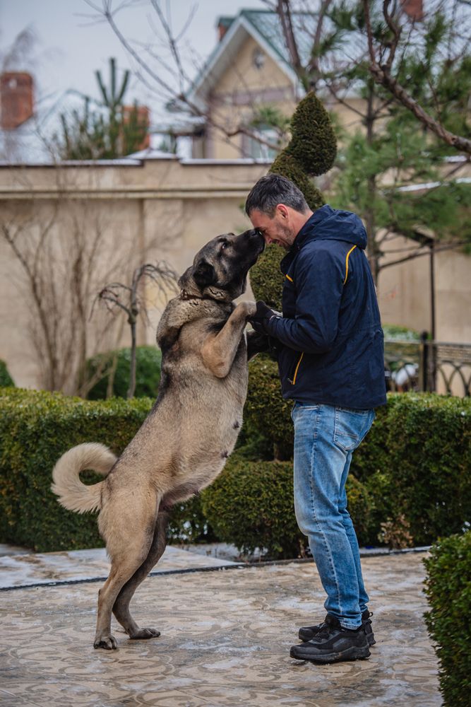 Фотография автора Ольга Тенилова